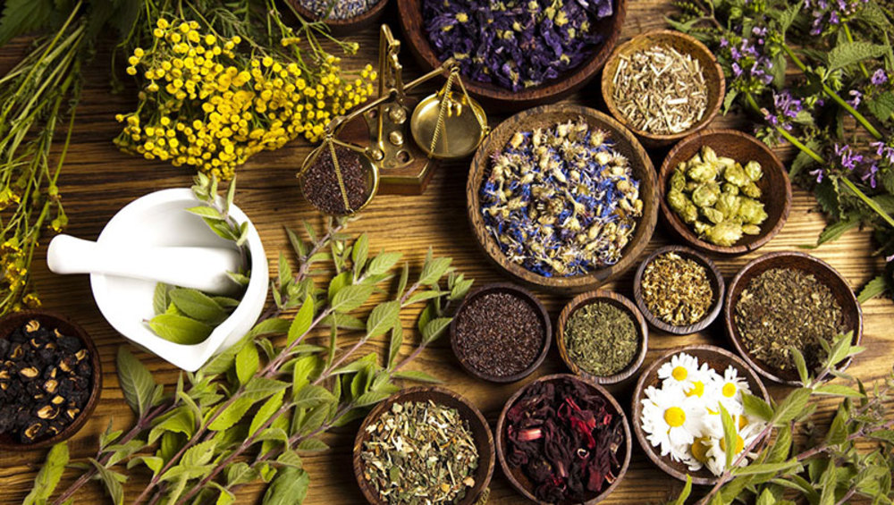 مشکلاتی که گیاهان دارویی برای کلیه‌ها ایجاد می‌کنند