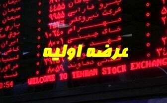 دو عرضه اولیه در راه است