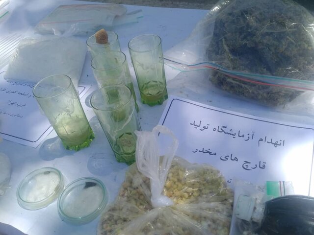 قارچ سمی کشف جدید پلیس مبارزه با مواد مخدر
