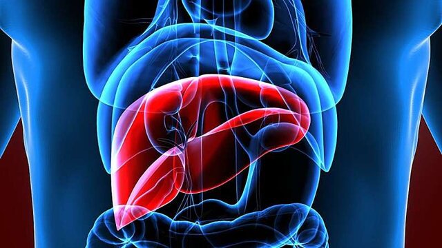 الکل چگونه به کبد آسیب می‌زند؟